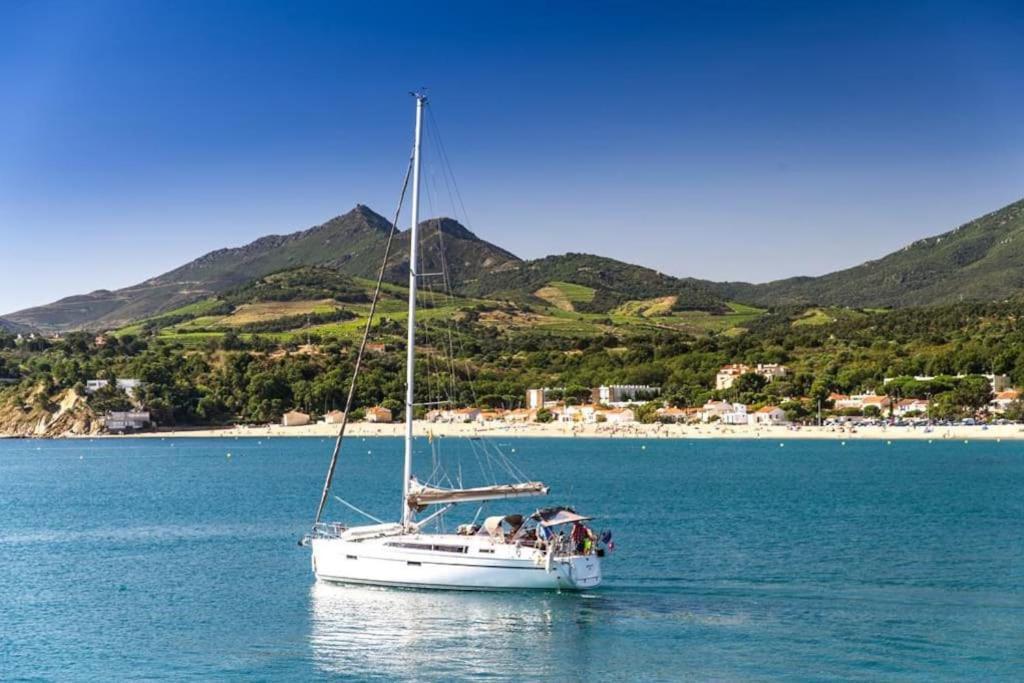 "Les Bambous" Studio Cosy Climatise Au Calme De 37 M2 Parking Gratuit A Argeles Sur Mer Exterior photo