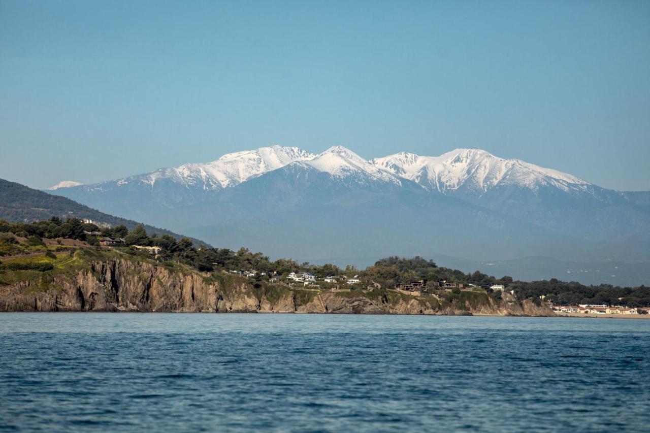 "Les Bambous" Studio Cosy Climatise Au Calme De 37 M2 Parking Gratuit A Argeles Sur Mer Exterior photo